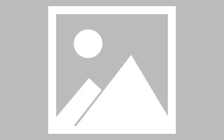 伊春肇庆教育网站建设（肇庆市教育平台登录入口）